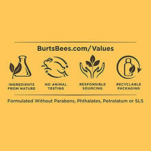Load image into Gallery viewer, Burt's Bees Renewal Firming Face Cream, Anti-Aging Retinol Alternative, Moisturizing Natural Skin Care, 1.8 Ounce (Packaging May Vary)