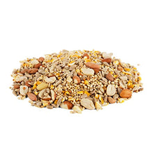 Load image into Gallery viewer, Morning Song 11959 Clean & Free Shell Free Wild Food Premium No Mess Bird Seed for Outside Feeders, 10 lb