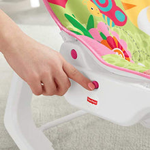 Load image into Gallery viewer, Fisher-Price Infant-to-Toddler Rocker