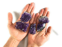 Load image into Gallery viewer, CircuitOffice 5 Pieces (About 1-2") Raw Natural Purple Amethyst Crystal Cluster Geode from Uruguay, Gemstone Specimen for Healing, Reiki, Chakra, Meditation and Wicca