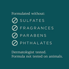 Load image into Gallery viewer, Belei by Amazon: Ferulic Acid + Vitamins C and E Serum, Fragrance Free, Paraben Free, 1 Fluid Ounce (30 mL)
