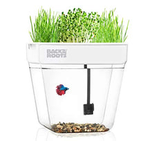 Load image into Gallery viewer, Back to the Roots Water Garden, Self-Cleaning Fish Tank That Grows Food, Mini Aquaponic Ecosystem (Great Gardening Gift & Family Project), 3 Gallons