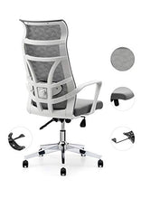 Load image into Gallery viewer, Allguest Office Chair Home Computer Chair White High Back Armrest Ergonomic Adjustable Lumbar Support Mesh Nylon AG-876FH-W