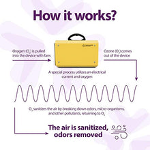 Load image into Gallery viewer, Home Sanitizer Solutions Ozone Generator for Home and Commercial Use - Sterilizes Air with Sanitizing Effect - 10,000mg/h, O3 Air Purifier and Ionizer Machine