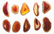 Load image into Gallery viewer, ShinyShaw 10 PCS Polished Agate Light Table Slices,Healing Crystals Geode Stones,Irregular Home Decoration Jewelry Making (Red)