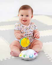 Load image into Gallery viewer, Skip Hop Developmental Learning Crawl Toy, Explore & More 3-Stage Follow-Me, Bee