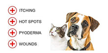 Load image into Gallery viewer, Forticept Blue Butter Antimicrobial Gel, Antiseptic Hydrogel Dogs Wound Care, Dogs & Cats for Skin Infections, Rashes, Sores, Wounds, Burns | 4 OZ
