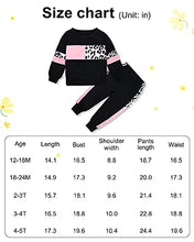 Load image into Gallery viewer, WESIDOM Baby Girl Clothes Sets, 2pcs Autumn Long Sleeve Clothes Outfits Toddler Girl Sweater Sets