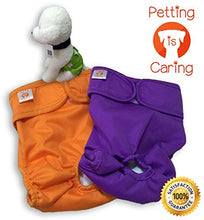 Load image into Gallery viewer, PETTING IS CARING Dog Washable Diapers & Reusable Female Dog Diapers Materials Durable Machine Washable Simple Solution for Pets Incontinence Long Travels Pants - 3 Pack Set Size (M)