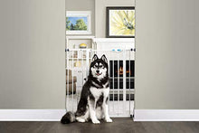 Load image into Gallery viewer, Carlson Extra Tall Walk Through Pet Gate with Small Pet Door, Includes 4-Inch Extension Kit, 4 Pack Pressure Mount Kit and 4 Pack Wall Mount Kit