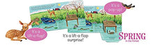 Load image into Gallery viewer, Spring in the Forest (Lift-a-flap Surprise)