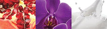 Load image into Gallery viewer, Calvin Klein euphoria Eau de Parfum, 3.3 Fl Oz