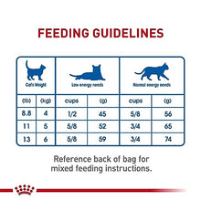 Load image into Gallery viewer, Royal Canin Indoor Adult Dry Cat Food, 15 lb bag