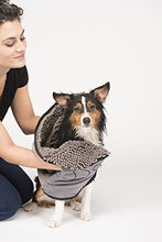 Load image into Gallery viewer, Dirty Dog Shammy(TM)