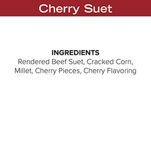 Load image into Gallery viewer, Blue Seal Cherry Bird Suet Cake | No Mess Wild Bird Suet | 11 oz (12 Pack)