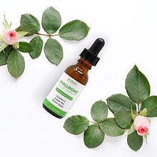 Load image into Gallery viewer, goPure Hyaluronic Acid Serum for Face - Anti Aging Serum with Vitamin C & E, Green Tea - Anti Wrinkle Hydrating Serum - Facial Moisturizer Collagen Serum - Helps Hydrate and Plump the Skin
