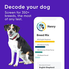 Load image into Gallery viewer, Embark | Dog DNA Test | Breed & Health Kit | Breed Identification & Canine Genetic Health Screening