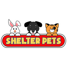 Load image into Gallery viewer, Shelter Pets Series Two: Jeffrey - 10" Orange and White Cat Plush Toy Stuffed Animal - Based on Real-Life Adopted Pets - Benefiting The Animal Shelters They were Adopted from - Kitten Kitty