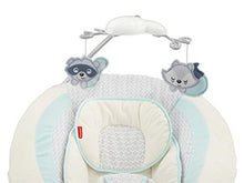 Load image into Gallery viewer, Fisher-Price Moonlight Meadow Deluxe Bouncer