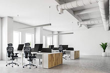 Load image into Gallery viewer, Eurotech Seating Ergohuman High Leather Seat/Mesh Back Swivel Chair, Black