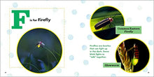 Load image into Gallery viewer, ABC Bug Book for Kids