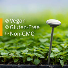 Load image into Gallery viewer, Herb Pharm Certified Organic Super Echinacea Liquid Extract for Active Immune System Support - 1 Ounce