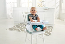 Load image into Gallery viewer, Fisher-Price Healthy Care Deluxe Booster Seat