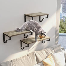 Load image into Gallery viewer, AMADA HOMEFURNISHING Floating Shelves Wall Mounted, Rustic Paulownia Wood Wall Shelves Set of 3 for Bedroom, Bathroom, Living Room, Kitchen, Office-AMFS02