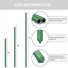 Load image into Gallery viewer, Pack of 25 Garden Stakes Sturdy Plant Sticks Plastic Coated Plant Stakes Support Metal Tomato Stakes for Cucumber, Strawberry, Beans, Trees (48 Inch)