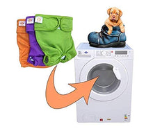 Load image into Gallery viewer, PETTING IS CARING Dog Washable Diapers & Reusable Female Dog Diapers Materials Durable Machine Washable Simple Solution for Pets Incontinence Long Travels Pants - 3 Pack Set Size (M)