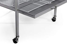 Load image into Gallery viewer, Prevue Pet Products Charming Aviary Large F035, Pearl Grey