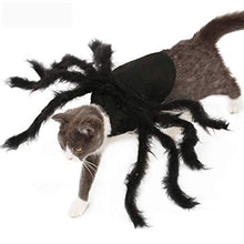 Load image into Gallery viewer, N3 2020 Updated Version Product Halloween Spider Pet Costume,Halloween Horror Simulation Plush Big Spider Wings Dress Up Funny Party for Dogs or Cats (M)