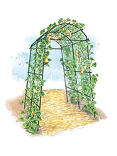 Load image into Gallery viewer, Gardener’s Supply Company Extra Tall Garden Arch Arbor 80in Titan Squash Tunnel | Lightweight Metal Garden Arch Trellis Plant Stand for Climbing Vines | Outdoor Lawn Tower & Garden Support Structure