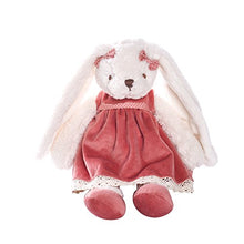Load image into Gallery viewer, Dilly dudu 2020 Holiday Plush Bunny Rabbit Stuffed Animal Soft Toys Cuddly Dolls Best Gifts 12-Inch (Pink)