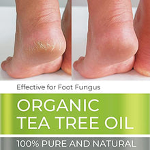 Load image into Gallery viewer, Organic Tea Tree Essential Oil - Huge 4 FL OZ - 100% Pure & Natural – Premium Natural Oil with Glass Dropper (Tea Tree Oil, 4 fl oz)