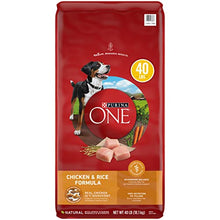 Load image into Gallery viewer, Purina ONE Natural Dry Dog Food, SmartBlend Chicken & Rice Formula - 40 lb. Bag