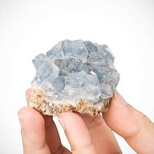 Load image into Gallery viewer, CXD-GEM A-Grade Celestite Natural Blue Celestite Cluster Specimen for Home Decor, 2-6 Ounce