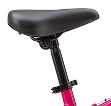 Load image into Gallery viewer, Diamondback Bicycles Tess 20 Youth Girls 20" Wheel Mountain Bike, Pink
