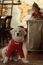 Load image into Gallery viewer, Santa Buddies: The Legend Of Santa Paws