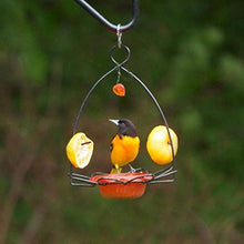 Load image into Gallery viewer, Birds Choice OFF Oriole Flower-Shaped Feeder w/Heart Ornament, Oriole Nectar & Jelly Feeder, 3oz Capacity, Orange