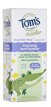Load image into Gallery viewer, Tom's of Maine Fluoride-Free Toddler Training Toothpaste, Mild Fruit, 1.75 oz.