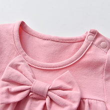 Load image into Gallery viewer, Baby Girls Clothes Set 2 Piece Long Sleeve Cartoon Hedgehog Infant Outfits (0-6 Months) Pink