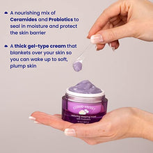 Load image into Gallery viewer, FaceTory Cloud Velvet Restoring Sleeping Mask with Probiotics- Moisturizes, Protects, Overnight Face Mask, Cruelty Free, No Fragrance, 50ml/1.69 fl oz
