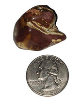 Load image into Gallery viewer, 1pc Amphibole w/Lithium Medium/Large AAA-Grade Hand Polished Phantom Angel Quartz Natural Healing Crystal Gemstone Specimen from Brazil