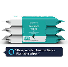 Load image into Gallery viewer, Amazon Basics Flushable Adult Toilet Wipes, Fragrance Free, 42 Count (Pack of 3)