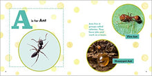 Load image into Gallery viewer, ABC Bug Book for Kids