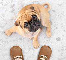 Load image into Gallery viewer, Ella Bonna Oxford Baby Boy Shoes, Rubber Sole, Leather Baby Shoes, Toddler Girl Baby Walking Shoes, Newborn Infant Mini Kids Crib Baby Moccasins (Taba, US 4)