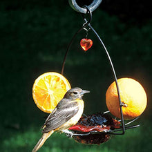 Load image into Gallery viewer, Birds Choice OFF Oriole Flower-Shaped Feeder w/Heart Ornament, Oriole Nectar & Jelly Feeder, 3oz Capacity, Orange