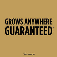 Load image into Gallery viewer, Scotts EZ Seed Dog Spot Repair Sun and Shade - 2 Lb., Mulch, Seed and Soil Amendment with Protectant and Tackifier, Repairs Pet Spots