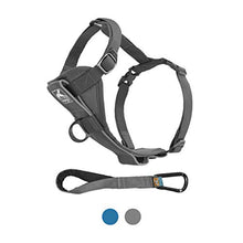 Load image into Gallery viewer, Kurgo Dog Harness | Pet Walking Harness | No Pull Harness Front Clip Feature for Training Included | Car Seat Belt | Tru-Fit Quick Release Style | Large | Grey